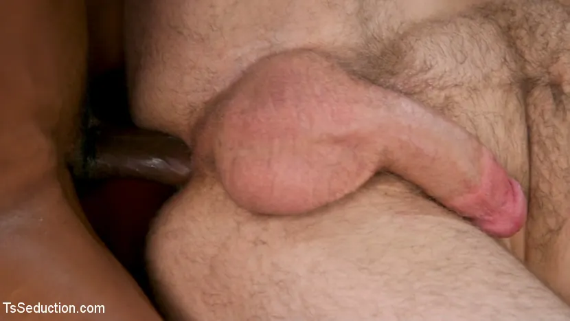 Kink TS 'The Sketch Artist: Model Natassia Dreams Punishes Pathetic Creep' starring Natassia Dreams (Photo 14)