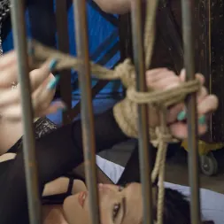 Stefani Special in 'Kink TS' Kinky Date -TS Stefani Special and Juliette March have hot Bondage Sex! (Thumbnail 1)