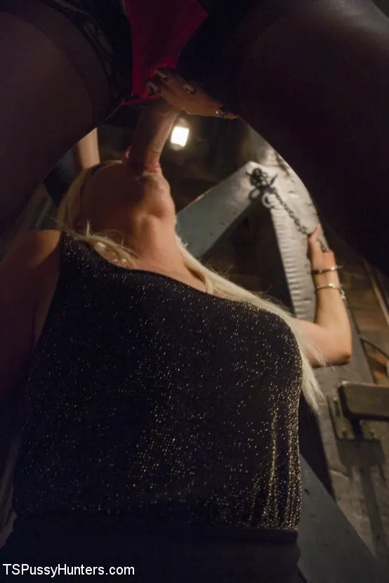 Kink TS 'Swinger Party Private room with Venus Lux and Jessica Taylor' starring Venus Lux (Photo 3)